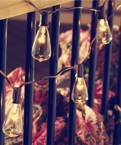 Christmas Lights ALEKO 25 Ft. 25-Light Warm White Incandescent Round Bulb Outdoor/Indoor Traditional Weatherproof Patio String Cafe Lights 12 Christmas Lights ALEKO 25 Ft. 25-Light Warm White Incandescent Round Bulb Outdoor/Indoor Traditional Weatherproof Patio String Cafe Lights -Christmas Tree Decorations Shop aleko christmas string lights gl25wwh hd c3 1000