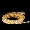 Christmas Lights CC Christmas Decor 10 Ft. 60-Light Warm White LED Indoor/Outdoor Christmas Linear Tape Lighting