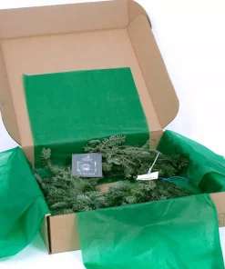 Christmas Greenery VAN ZYVERDEN 12 Ft. Live Fresh Cut Blue Ridge Mountain Fraser Fir Coil Holiday Garland -Christmas Tree Decorations Shop christmas garland 87449 44 1000