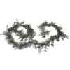 Christmas Greenery VAN ZYVERDEN 12 Ft. Live Fresh Cut Blue Ridge Mountain Fraser Fir Coil Holiday Garland