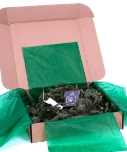 Christmas Greenery VAN ZYVERDEN 25 Ft. Live Fresh Cut Blue Ridge Mountain Fraser Fir Coil Holiday Garland -Christmas Tree Decorations Shop christmas garland 87550 1f 1000