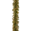 Christmas Greenery National Tree Company 9 Ft. Pre-Lit Dunhill Fir Garland With Clear Lights