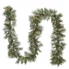 Christmas Greenery National Tree Company 9 Ft. Golden Bristle Garland With Clear Lights