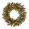 Christmas Greenery National Tree Company 24 In. Frosted Pine Berry Collection Wreaths With Cones, Red Berries, Silver Glittered Eucalyptus Leaves