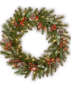 Christmas Greenery National Tree Company 24 In. Frosted Pine Berry Collection Wreaths With Cones, Red Berries, Silver Glittered Eucalyptus Leaves