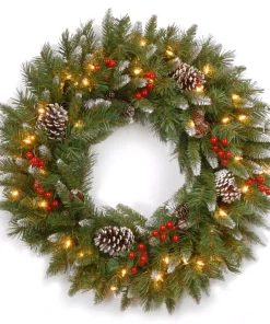 Christmas Greenery National Tree Company Frosted Berry 24 In. Artificial Wreath With Clear Lights