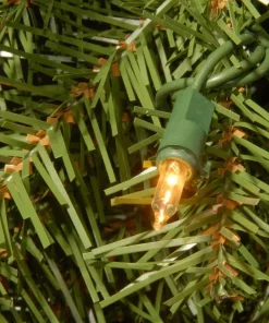 Christmas Greenery National Tree Company 24″ Norwood Fir Wreath With Battery Operated Dual Color LED Lights 6 Christmas Greenery National Tree Company 24″ Norwood Fir Wreath With Battery Operated Dual Color LED Lights -Christmas Tree Decorations Shop national tree company christmas wreaths nf 304d 24wb 1 4f 1000