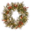 Christmas Greenery National Tree Company 30 In. Battery Operated LED Lights Wintry Berry Wreath