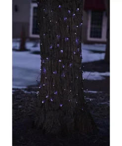 Northlight 2 Ft. X 8 Ft. Blue Mini Net Style Tree Trunk Wrap Christmas Lights With Brown Wire 5 Northlight 2 Ft. X 8 Ft. Blue Mini Net Style Tree Trunk Wrap Christmas Lights With Brown Wire -Christmas Tree Decorations Shop northlight christmas net lights 32603850 4f 1000