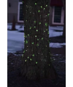Northlight 2 Ft. X 8 Ft. Green Mini Net Style Tree Trunk Wrap Christmas Lights With Brown Wire 5 Northlight 2 Ft. X 8 Ft. Green Mini Net Style Tree Trunk Wrap Christmas Lights With Brown Wire -Christmas Tree Decorations Shop northlight christmas net lights 32603854 4f 1000