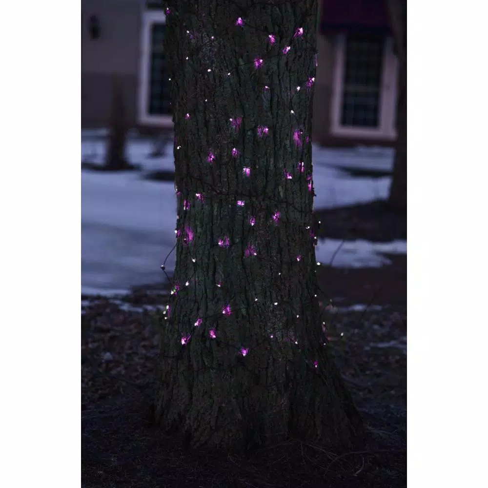 Northlight 2 Ft. X 8 Ft. Purple LED Net Style Tree Trunk Wrap Christmas Lights With Brown Wire 2 Northlight 2 Ft. X 8 Ft. Purple LED Net Style Tree Trunk Wrap Christmas Lights With Brown Wire - Image 2