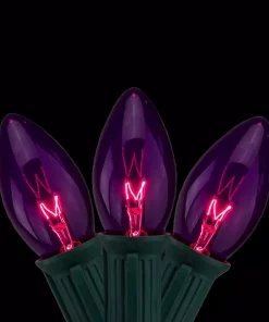 Northlight 12 In. Set Of 25 Transparent Purple C9 Christmas Lights Spacing – Green Wire