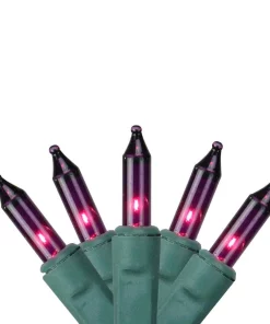 Sienna 4 Ft. X 6 Ft. Purple Mini Net Style Christmas Lights With Green Wire