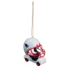 Christmas Tree Decorations Team Sports America New England Patriots 3 In. NFL Field Car Christmas Ornament