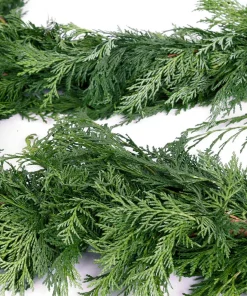 Christmas Greenery VAN ZYVERDEN 10 Ft. Live Fresh Cut Pacific Northwest Cedar Mix Coil Garland 9 Christmas Greenery VAN ZYVERDEN 10 Ft. Live Fresh Cut Pacific Northwest Cedar Mix Coil Garland -Christmas Tree Decorations Shop van zyverden christmas garland 87427 1f 1000