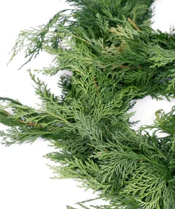 Christmas Greenery VAN ZYVERDEN 10 Ft. Live Fresh Cut Pacific Northwest Cedar Mix Coil Garland 10 Christmas Greenery VAN ZYVERDEN 10 Ft. Live Fresh Cut Pacific Northwest Cedar Mix Coil Garland -Christmas Tree Decorations Shop van zyverden christmas garland 87427 44 1000