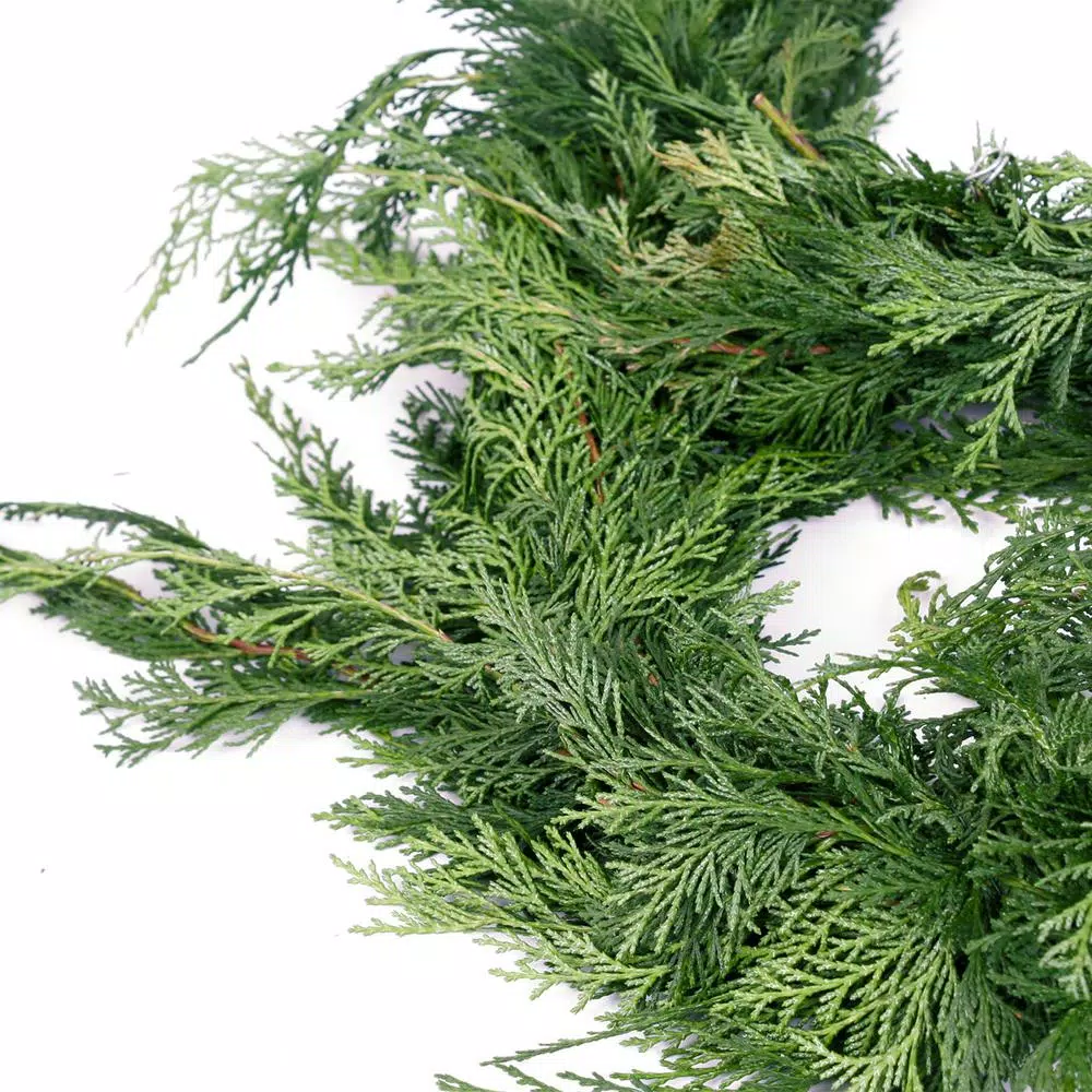 Christmas Greenery VAN ZYVERDEN 10 Ft. Live Fresh Cut Pacific Northwest Cedar Mix Coil Garland 5 Christmas Greenery VAN ZYVERDEN 10 Ft. Live Fresh Cut Pacific Northwest Cedar Mix Coil Garland - Image 5
