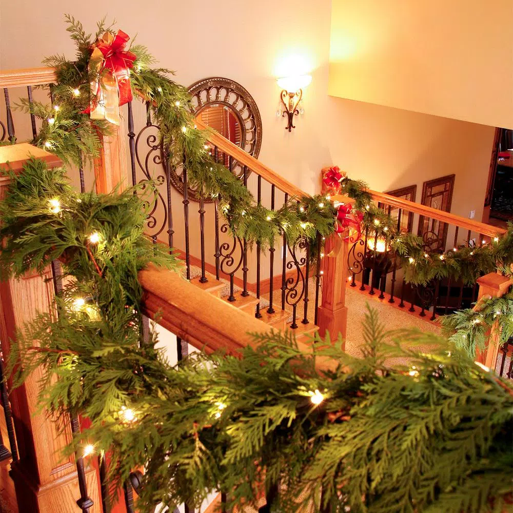 Christmas Greenery VAN ZYVERDEN 10 Ft. Live Fresh Cut Pacific Northwest Cedar Mix Coil Garland 3 Christmas Greenery VAN ZYVERDEN 10 Ft. Live Fresh Cut Pacific Northwest Cedar Mix Coil Garland - Image 3