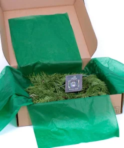 Christmas Greenery VAN ZYVERDEN 10 Ft. Live Fresh Cut Pacific Northwest Cedar Mix Coil Garland 11 Christmas Greenery VAN ZYVERDEN 10 Ft. Live Fresh Cut Pacific Northwest Cedar Mix Coil Garland -Christmas Tree Decorations Shop van zyverden christmas garland 87427 fa 1000