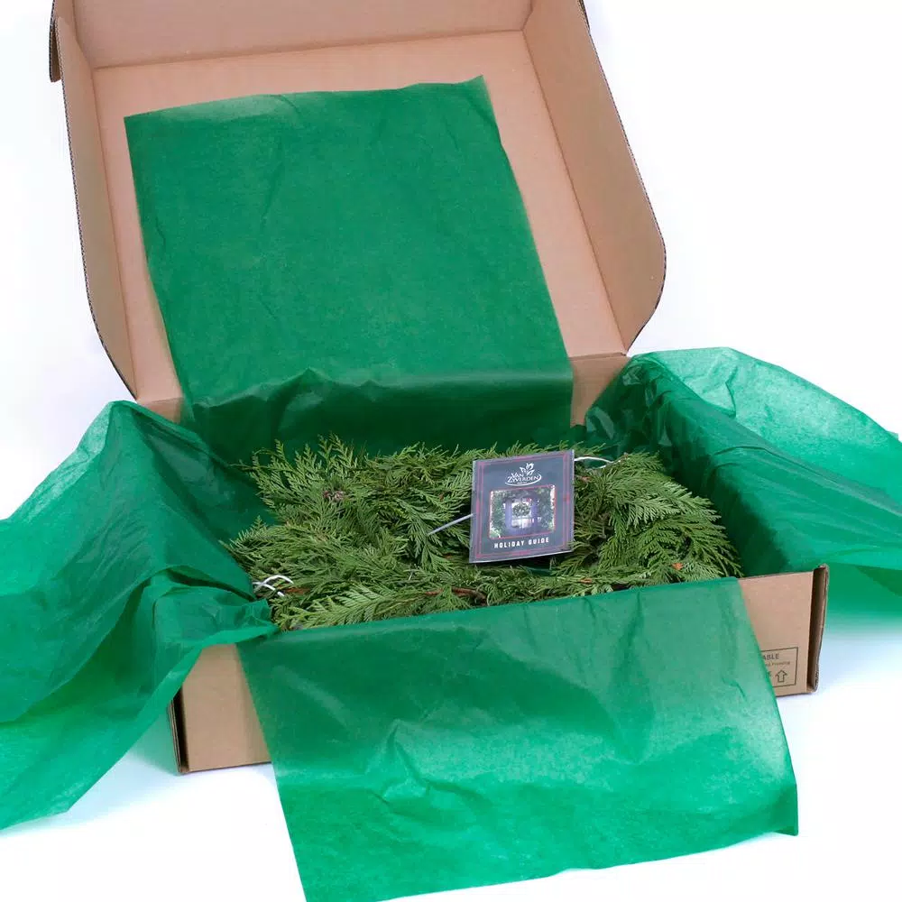 Christmas Greenery VAN ZYVERDEN 10 Ft. Live Fresh Cut Pacific Northwest Cedar Mix Coil Garland 6 Christmas Greenery VAN ZYVERDEN 10 Ft. Live Fresh Cut Pacific Northwest Cedar Mix Coil Garland - Image 6