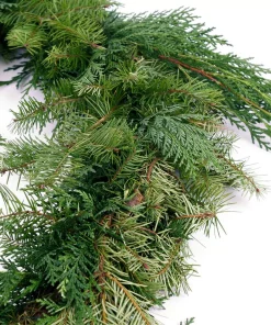 Christmas Greenery VAN ZYVERDEN 10 Ft. Live Fresh Cut Pacific Northwest Douglas And Cedar Mix Coil Garland -Christmas Tree Decorations Shop van zyverden christmas garland 87428 1f 1000