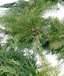 Christmas Greenery VAN ZYVERDEN 10 Ft. Live Fresh Cut Pacific Northwest Douglas And Cedar Mix Coil Garland -Christmas Tree Decorations Shop van zyverden christmas garland 87428 44 1000
