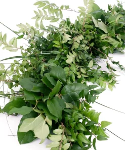 Christmas Greenery VAN ZYVERDEN 6 Ft. Live Fresh Cut Pacific Northwest Deluxe Special Event Garland Mix Coil Runner -Christmas Tree Decorations Shop van zyverden christmas garland 87431 4f 1000