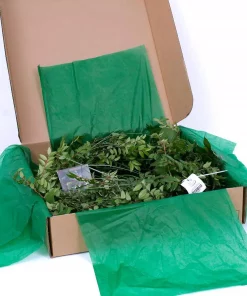 Christmas Greenery VAN ZYVERDEN 6 Ft. Live Fresh Cut Pacific Northwest Deluxe Special Event Garland Mix Coil Runner -Christmas Tree Decorations Shop van zyverden christmas garland 87431 fa 1000