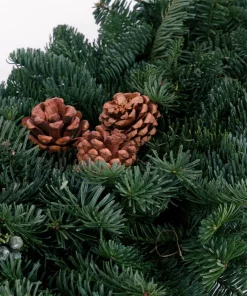 Christmas Greenery VAN ZYVERDEN 4 Ft. Live Fresh Cut Pacific Northwest Classic Garland Holiday Mantel Arrangement -Christmas Tree Decorations Shop van zyverden christmas garland 87432 1f 1000