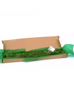 Christmas Greenery VAN ZYVERDEN 4 Ft. Live Fresh Cut Pacific Northwest Classic Garland Holiday Mantel Arrangement -Christmas Tree Decorations Shop van zyverden christmas garland 87432 44 1000