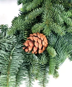 Christmas Greenery VAN ZYVERDEN 16 In. Live Fresh Cut Pacific Northwest Noble Fir Christmas Wreath With Cones -Christmas Tree Decorations Shop van zyverden christmas wreaths 87400 4f 1000