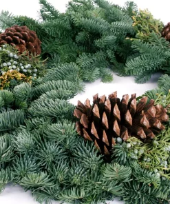 Christmas Greenery VAN ZYVERDEN 24 In. Live Fresh Cut Pacific Northwest Mixed Christmas Wreath Pine Cone Decorated -Christmas Tree Decorations Shop van zyverden christmas wreaths 87435 4f 1000
