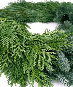 Christmas Greenery VAN ZYVERDEN 24 In. Live Fresh Cut Pacific Northwest Modern Block Christmas Wreath -Christmas Tree Decorations Shop van zyverden christmas wreaths 87436 1f 1000