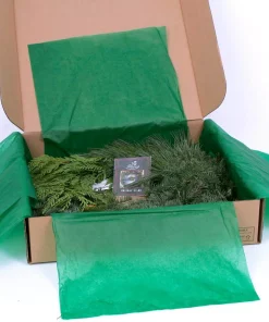 Christmas Greenery VAN ZYVERDEN 24 In. Live Fresh Cut Pacific Northwest Modern Block Christmas Wreath -Christmas Tree Decorations Shop van zyverden christmas wreaths 87436 44 1000