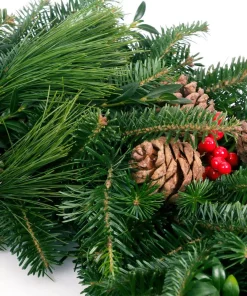 Christmas Greenery VAN ZYVERDEN 24 In. Live Fresh Cut Blue Ridge Mountain Mixed Christmas Wreath With Cones And Berries 6 Christmas Greenery VAN ZYVERDEN 24 In. Live Fresh Cut Blue Ridge Mountain Mixed Christmas Wreath With Cones And Berries -Christmas Tree Decorations Shop van zyverden christmas wreaths 87447 4f 1000