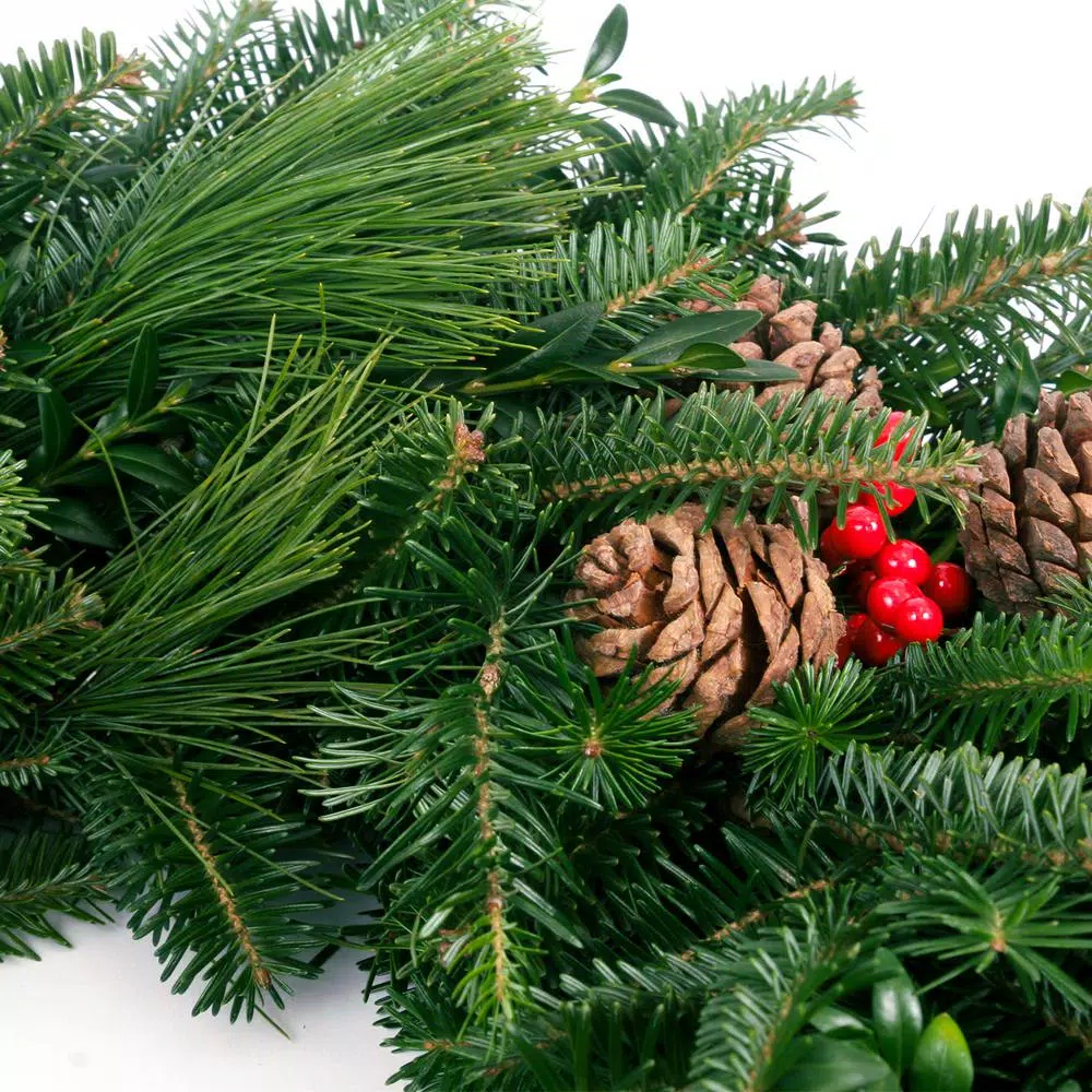 Christmas Greenery VAN ZYVERDEN 24 In. Live Fresh Cut Blue Ridge Mountain Mixed Christmas Wreath With Cones And Berries 3 Christmas Greenery VAN ZYVERDEN 24 In. Live Fresh Cut Blue Ridge Mountain Mixed Christmas Wreath With Cones And Berries - Image 3