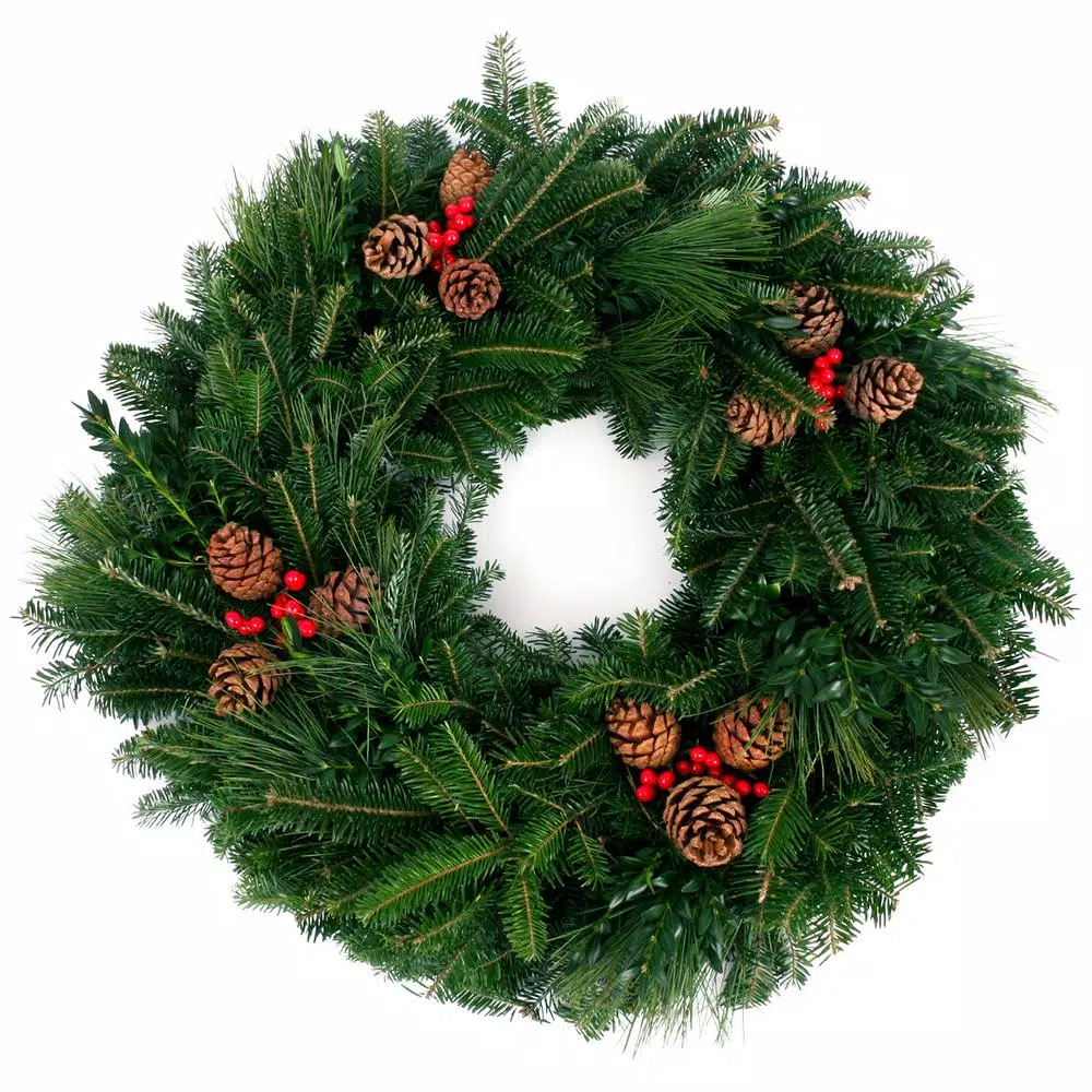 Christmas Greenery VAN ZYVERDEN 24 In. Live Fresh Cut Blue Ridge Mountain Mixed Christmas Wreath With Cones And Berries 1 Christmas Greenery VAN ZYVERDEN 24 In. Live Fresh Cut Blue Ridge Mountain Mixed Christmas Wreath With Cones And Berries