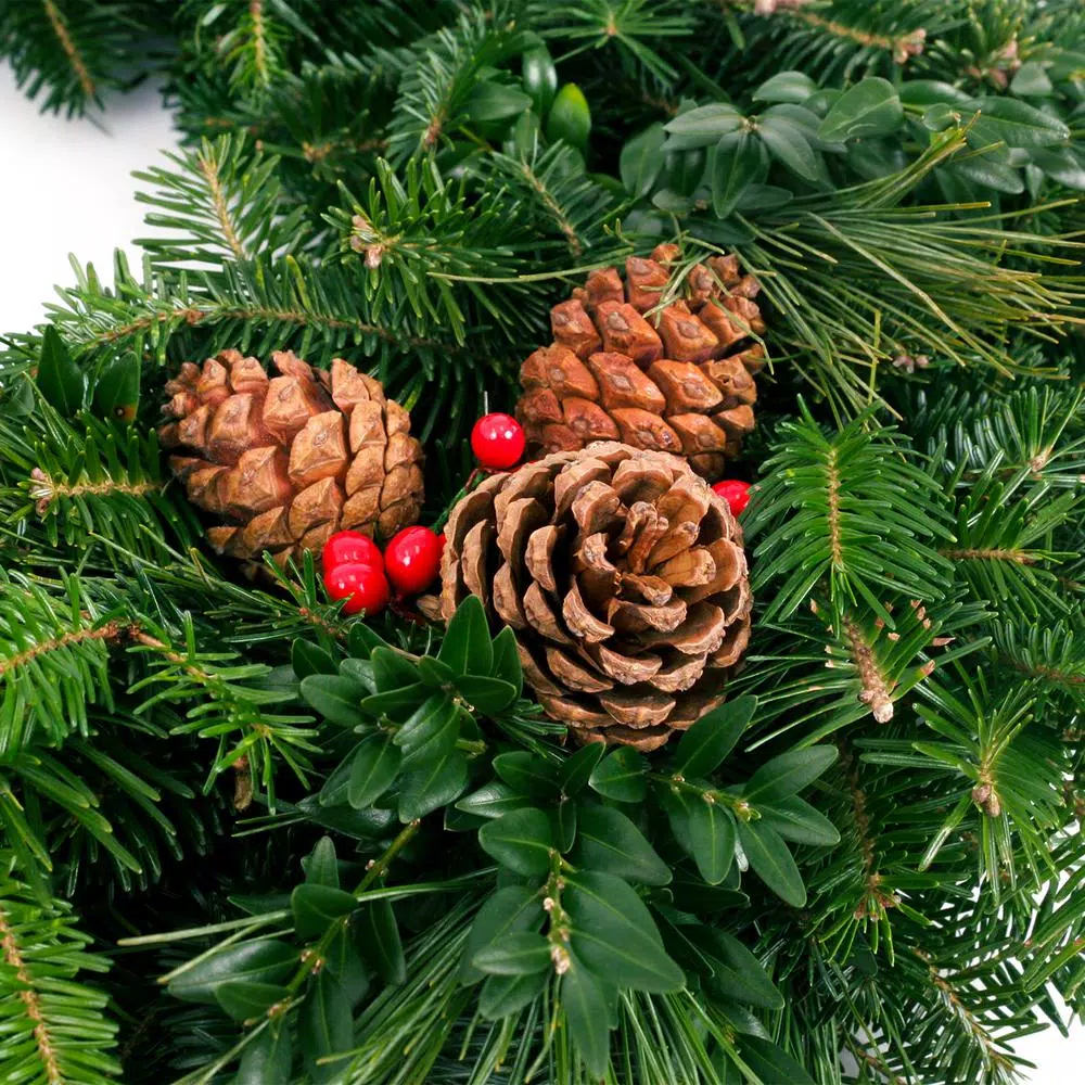 Christmas Greenery VAN ZYVERDEN 24 In. Live Fresh Cut Blue Ridge Mountain Mixed Christmas Wreath With Cones And Berries 2 Christmas Greenery VAN ZYVERDEN 24 In. Live Fresh Cut Blue Ridge Mountain Mixed Christmas Wreath With Cones And Berries - Image 2