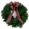 Christmas Greenery VAN ZYVERDEN 24 In. Live Fresh Cut Blue Ridge Mountain Mixed Christmas Wreath With Bow