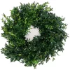 Christmas Greenery VAN ZYVERDEN 12 In. Live Fresh Cut Blue Ridge Mountain Box Wood Window Christmas Wreath