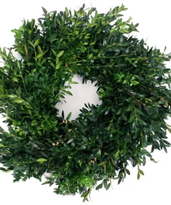 Christmas Greenery VAN ZYVERDEN 12 In. Live Fresh Cut Blue Ridge Mountain Box Wood Window Christmas Wreath