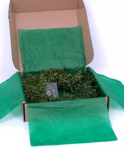 Christmas Greenery VAN ZYVERDEN 22 In. Live Fresh Cut Blue Ridge Mountain Box Wood Christmas Wreath -Christmas Tree Decorations Shop van zyverden christmas wreaths 87552 44 1000