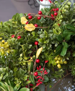 Christmas Greenery Village Lighting Company 30 In. Pre-Lit LED Christmas Boxwood And Berry Wreath 7 Christmas Greenery Village Lighting Company 30 In. Pre-Lit LED Christmas Boxwood And Berry Wreath -Christmas Tree Decorations Shop village lighting company christmas wreaths v 11109 1f 1000