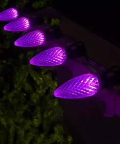 Christmas Lights Wintergreen Lighting OptiCore C9 LED Purple Faceted Replacement Light Bulbs (25-Pack) 8 Christmas Lights Wintergreen Lighting OptiCore C9 LED Purple Faceted Replacement Light Bulbs (25-Pack) -Christmas Tree Decorations Shop wintergreen lighting christmas light bulbs 72661 4f 1000