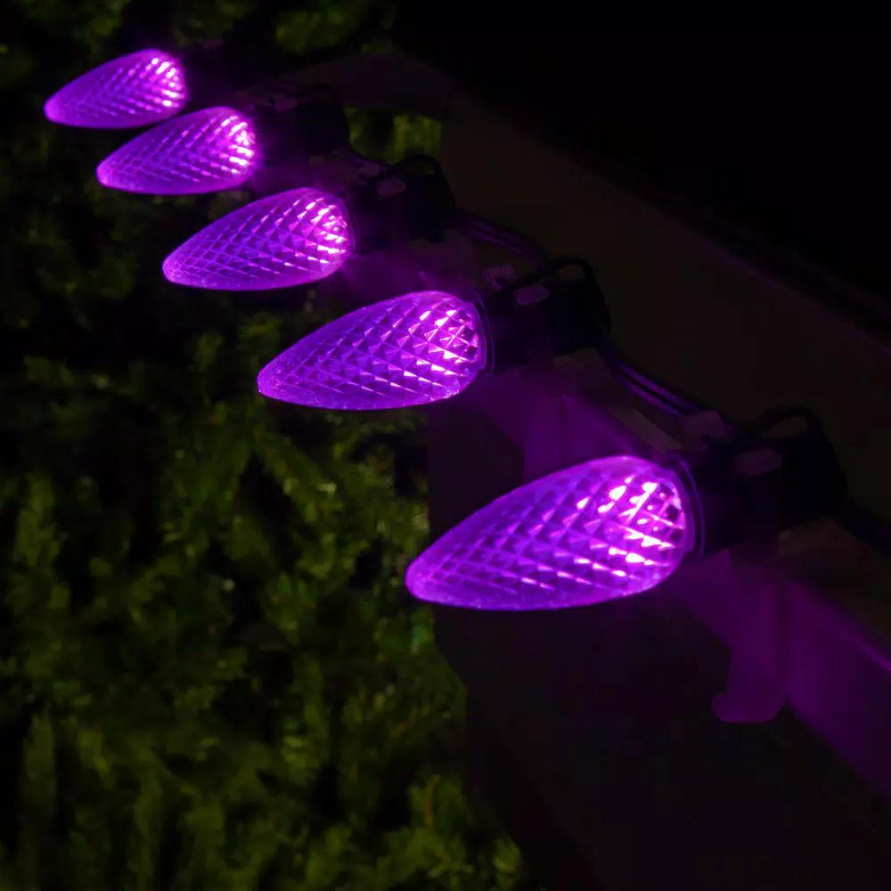 Christmas Lights Wintergreen Lighting OptiCore C9 LED Purple Faceted Replacement Light Bulbs (25-Pack) 3 Christmas Lights Wintergreen Lighting OptiCore C9 LED Purple Faceted Replacement Light Bulbs (25-Pack) - Image 3