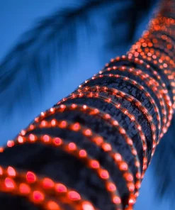 Christmas Lights Wintergreen Lighting 150 Ft. LED Red Rope Light Kit 9 Christmas Lights Wintergreen Lighting 150 Ft. LED Red Rope Light Kit -Christmas Tree Decorations Shop wintergreen lighting christmas rope lights 73669 4f 1000