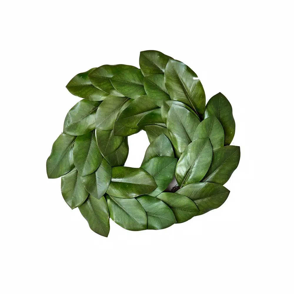Christmas Greenery Worth Imports 20 In. Magnolia Leaf Wreath 1 Christmas Greenery Worth Imports 20 In. Magnolia Leaf Wreath
