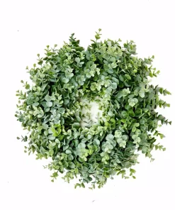 Christmas Greenery Worth Imports 16 In. Eucalyptus Wreath