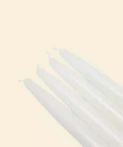 Indoor Christmas Decorations Zest Candle 6 In. White Taper Candles (12-Set)