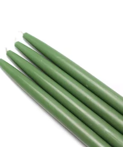 Indoor Christmas Decorations Zest Candle 10 In. Hunter Green Taper Candles (12-Set)